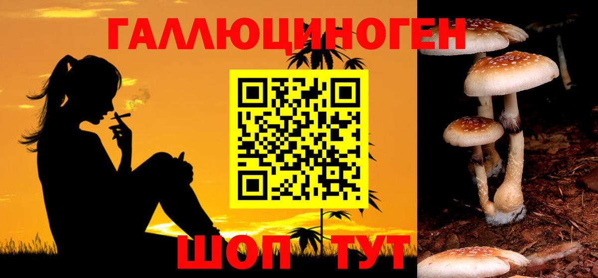 Энгельс  Псилоцибиновые грибы Cubensis  Псилоцибиновые грибы Cubensis  Вход с VPN 